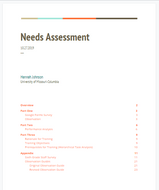 Needs Assessment Artifact